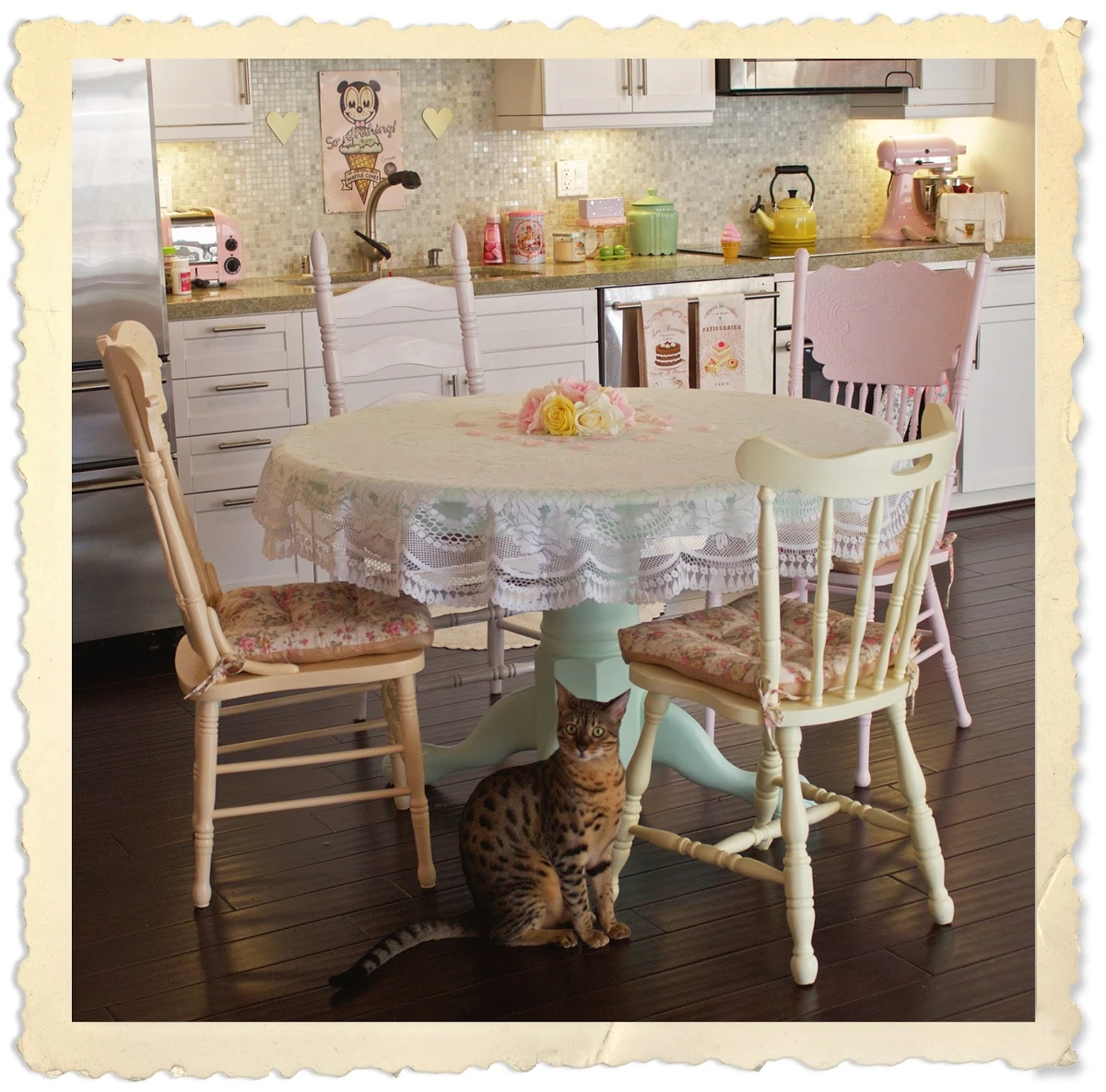 Kitschy kitchen Kalel Wiki Fandom
