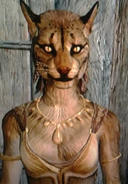 Blitz Khajiit: S'Asha