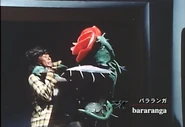 Bararanga spelling.png (1.13 MB) Bararanga