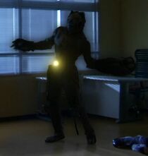 Canis Minor Zodiarts.jpg