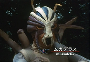 Mukadelas spelling.png (1.27 MB) Mukadelas