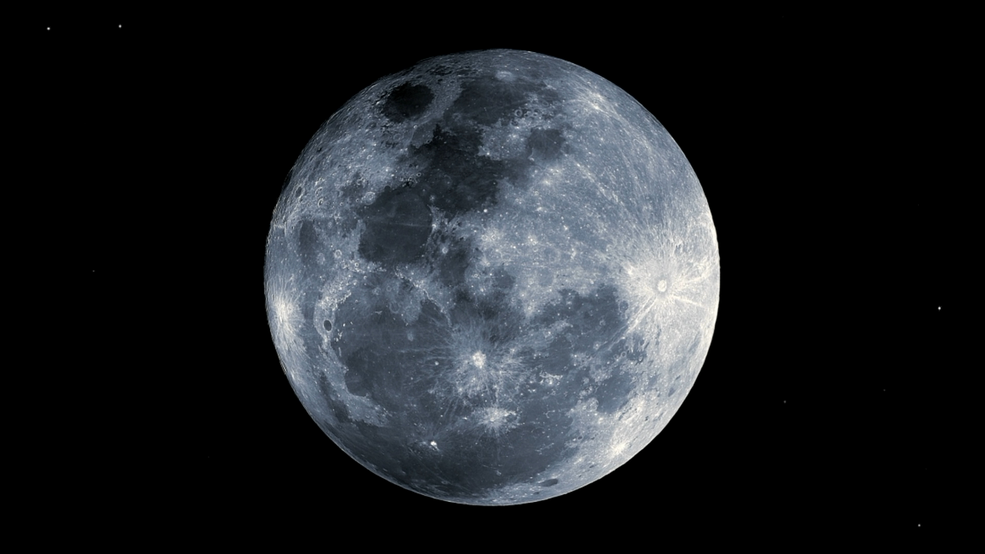 DARK MOON dark moon ジャカ qBCdMf2zCXs8PLWanqsp2K.jpg