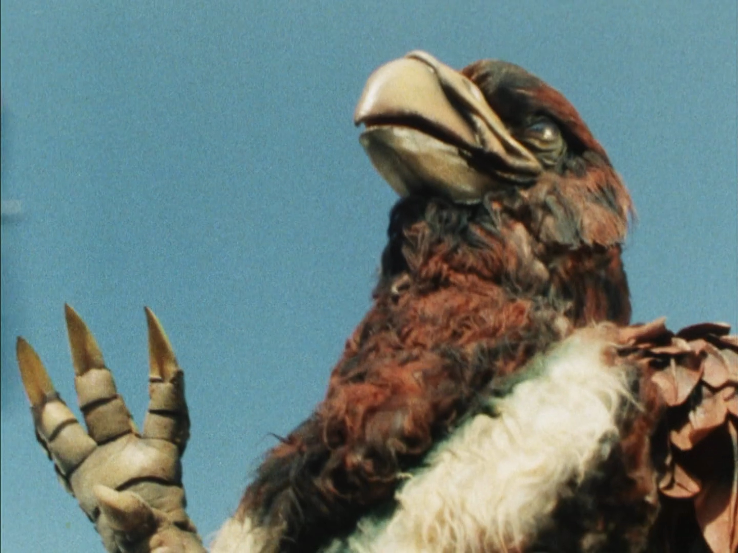 Taka-Roid | Kamen Rider Wiki | Fandom Taka-Roid | Kamen Rider Wiki | Fandom