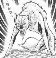 Wolf Man (Manga)