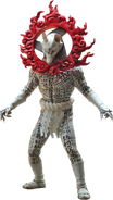 Kasha