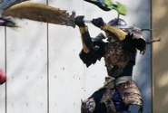 Another Gaim