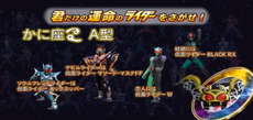 Saswordmaskedform net24.png