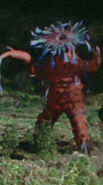 Isoguinchack