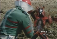 Zarigarna spelling.png (1.48 MB) Zarigarna