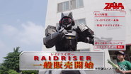 Raidriser