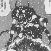 Ogre-Face Spider Mutant.jpg