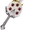 Gavvwhipir