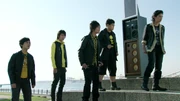 Team Raid Wild