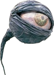 KRRX-Hundred-Eyed Hag (Giant Eye)