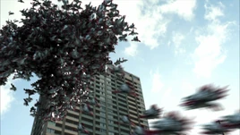 Phirania Yummy Profile