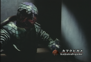 Kamakubikame spelling.png (1.04 MB) Kamakubikame