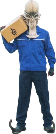Haitatsu Jyamato