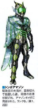 Dragonflyamazon conceptart