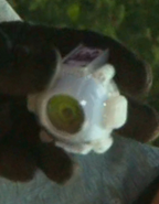 Otsu Ghost Eyecon