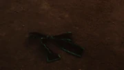 Is's ribbon