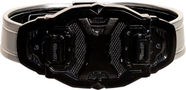 Пояс Багстеров