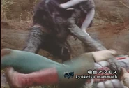 Kyuketsu Mammoth spelling.png (1.41 MB) Kyuketsu Mammoth