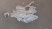 Onpu Gamma Remains