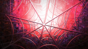 Spider web opening.png