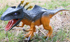 Pakuraptor
