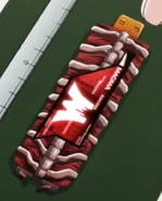 Magma Memory (anime)