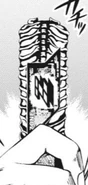 Zone Memory (manga)