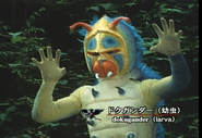 Dokugander (larva) spelling.png (1.39 MB) Dokugander (larva)