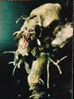 Re-imag Mole Cricket Mutant.jpg