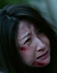 Sakurai Yukino