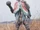 Hammer Kurage