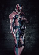 Revi Poster