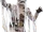 Hikarabeeno