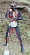 Yamogerus