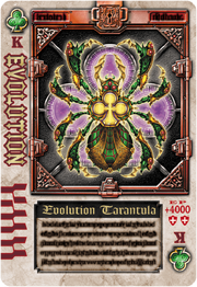 KRBl-Evolution Tarantula Rouse Card