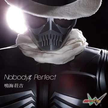 Nobody's Perfect | Kamen Rider Wiki | Fandom