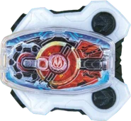 Desire Driver Buckle
