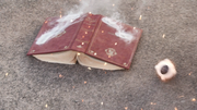 Book Gamma Remains
