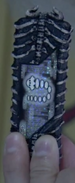 KRW-UFO Memory.png (350 KB) UFO Memory