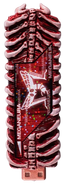 Meganeura Memory (CSM)