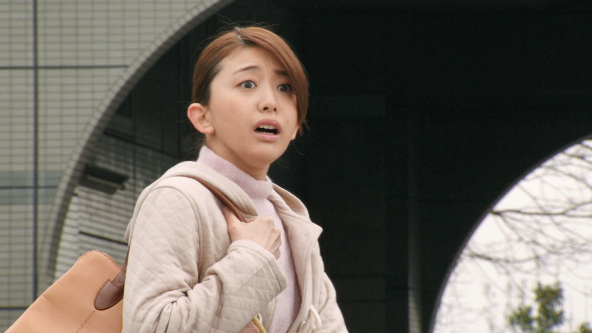 Reiko Nishihori Kamen Rider Wiki Fandom