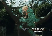 Kabibinga spelling.png (1.51 MB) Kabibinga