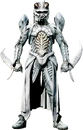 Mantis