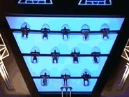 Insectovore Jar Storage