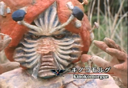 Kinokomorgue spelling.png (1.58 MB) Kinokomorgue
