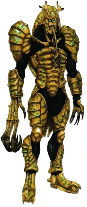 Coleoptera Worm Aeneus concept art